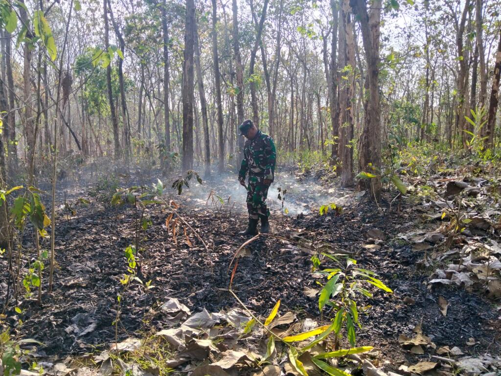 Babinsa Desa Karangdoro Tunjukkan Aksi Sigap Dalam Padamkan Api